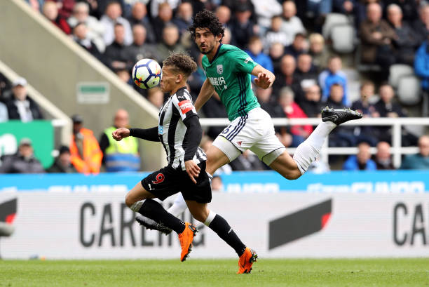 他必须在欧 他必须在欧